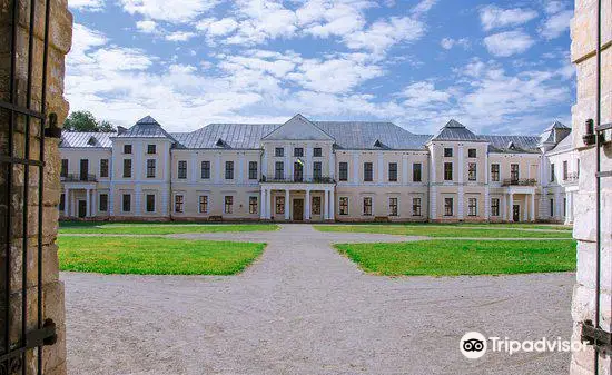 Vishnevetskikh Palace