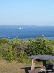 Mumbles Hill Local Nature Reserve