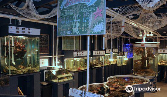 Discovery Passage Aquarium