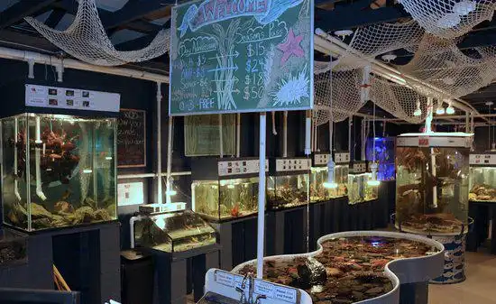 Các khách sạn gần Discovery Passage Aquarium
