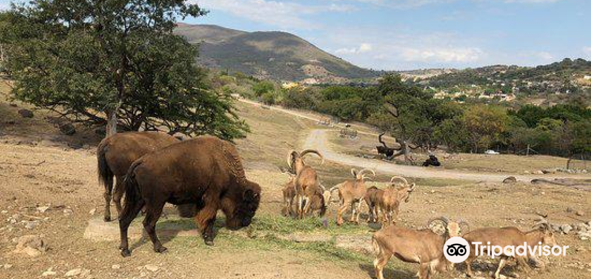 Amacuzac Travel Guide 2023 Things to Do, What To Eat & Tips