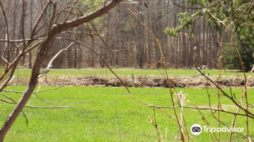 Clifford E. Lee Nature Sanctuary