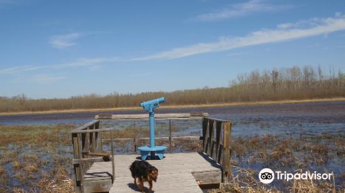 Clifford E. Lee Nature Sanctuary