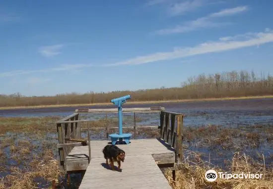 Clifford E. Lee Nature Sanctuary