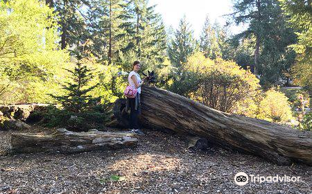 Lake Wilderness Arboretum