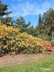 Parque de los Rhododendron de Graal-Müritz