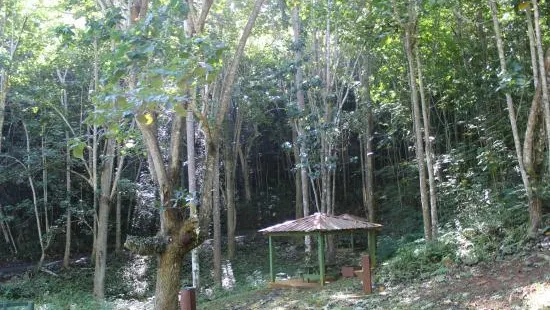 Guajataca Forest Reserve