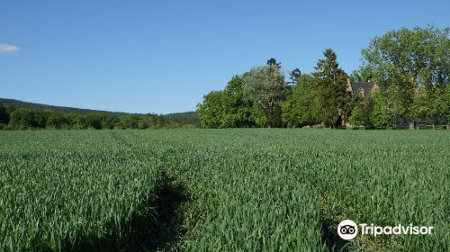 Naturpark Hochtaunus