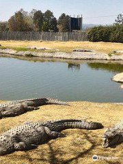 Croc City Crocodile & Reptile Park