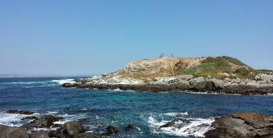 Isla Los Pinguinos Cachagua