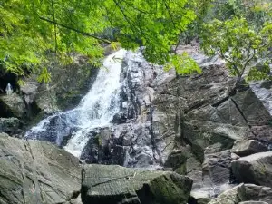 Cachoeira Bulha d'agua