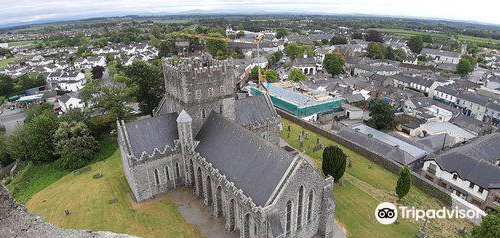 Saint Brigid's Cathedral and Round Tower