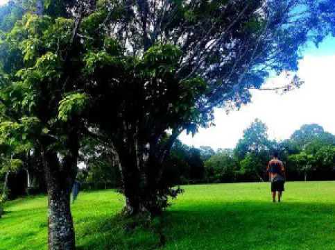 Hotel Las Artes Restaurant