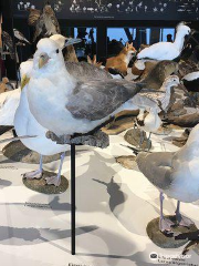 UNESCO-Weltnaturerbe Wattenmeer-Besucherzentrum Cuxhaven