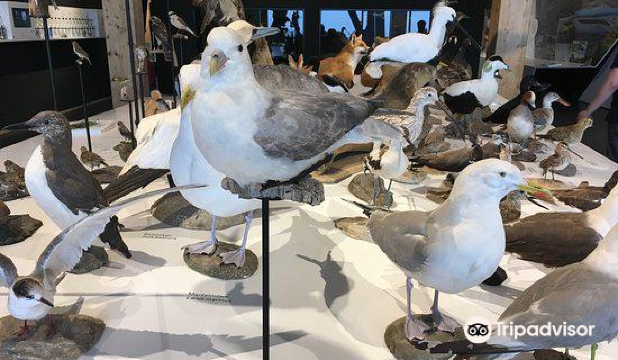 Nationalparkzentrum Wattenmeer