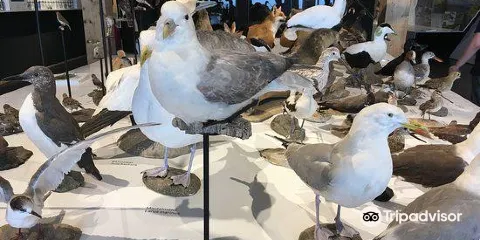 Nationalparkzentrum Wattenmeer