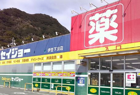 Dailycare Seijo(Izushimoda Store)