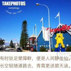 Cicerello's Mandurah User Photo