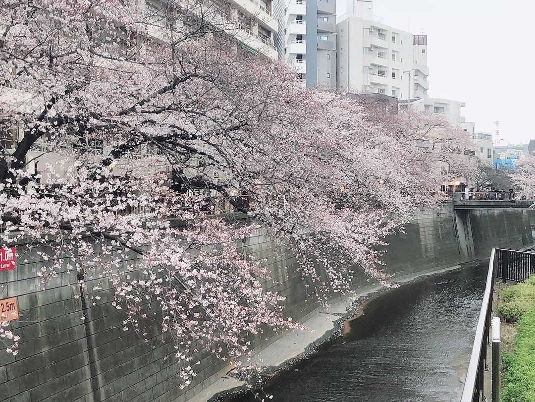 東京 東京タワー周辺のおすすめホテルを宿泊予約 Trip Com