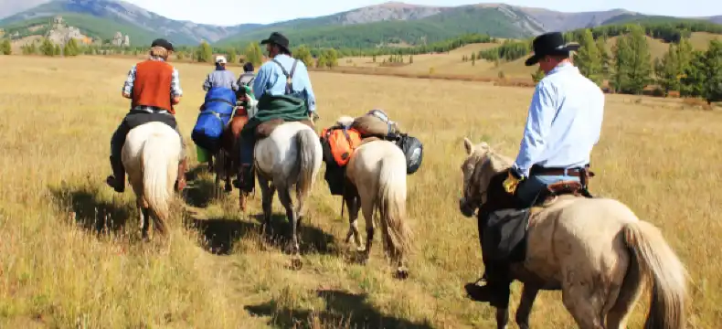 ゾーンモドのホテル
