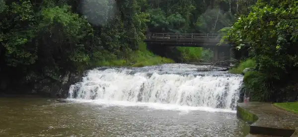 Hotels in Malanda