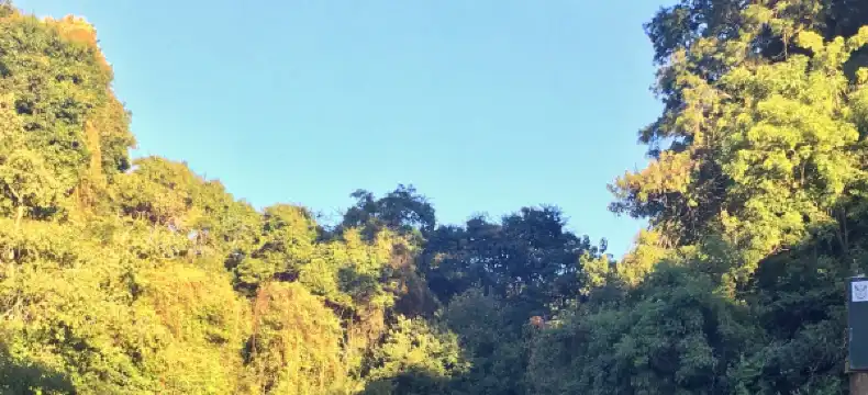 アンダーバーグのホテル