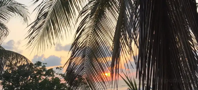 Hotels in Troncones