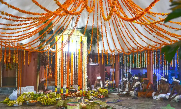 Marriott Properties in Bedford Park