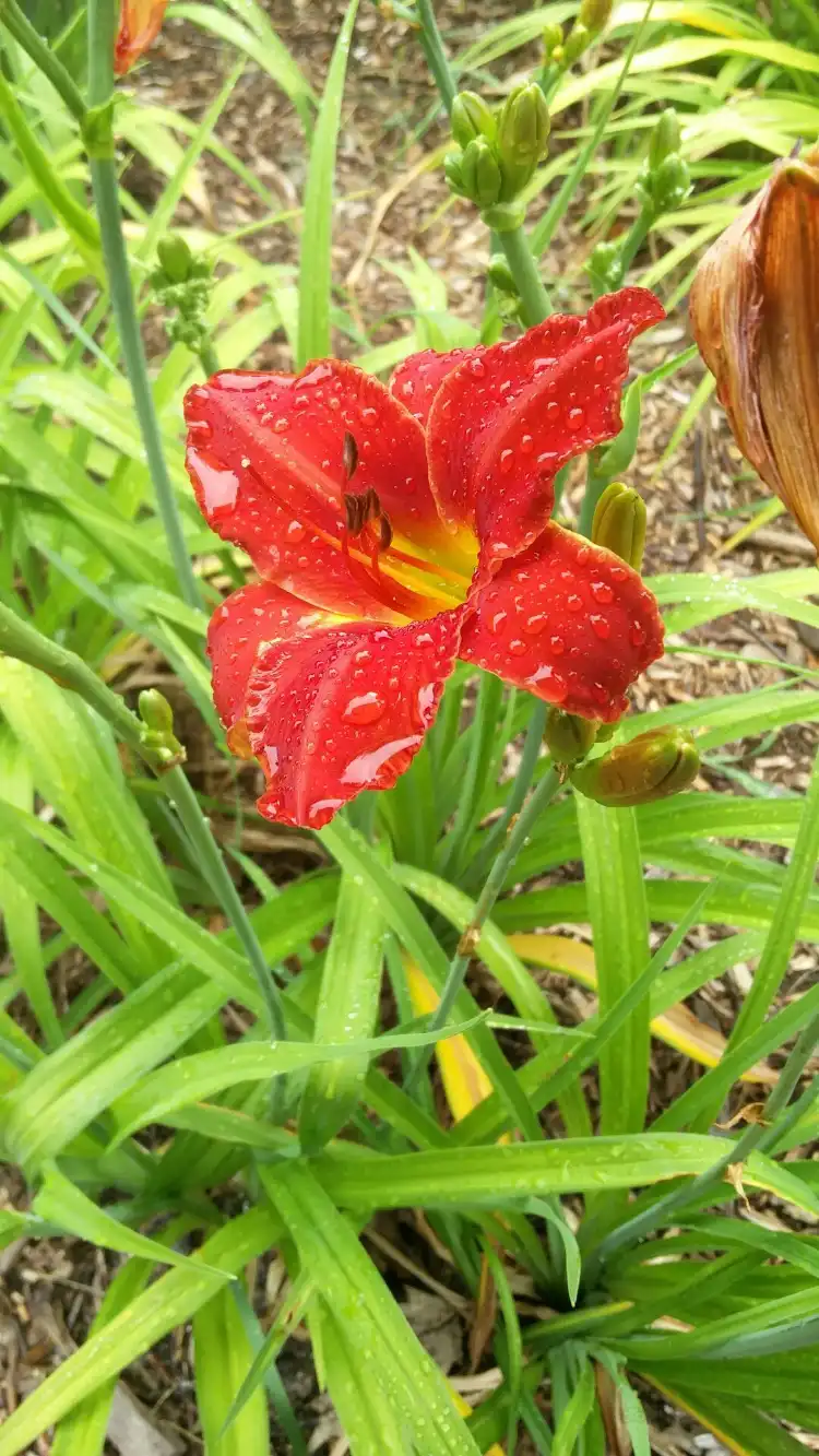 Hotels in West Windsor