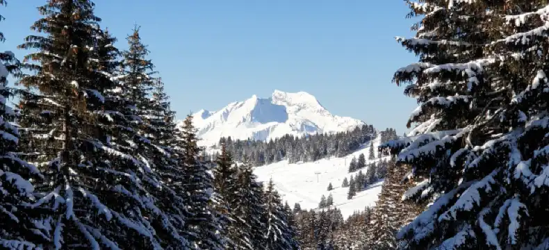 Hotels near Tour