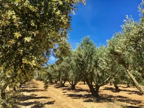 普朗－德拉圖爾酒店