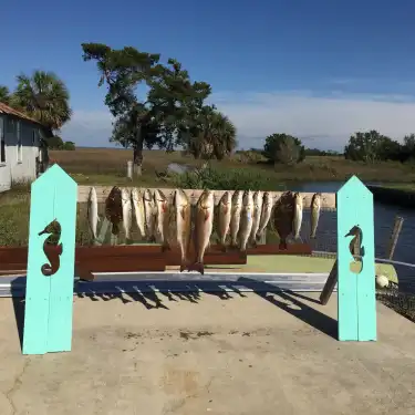 Hotels in Dixie County