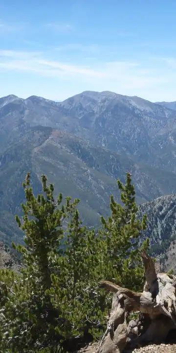 鄰近Wrightwood Public Library的酒店