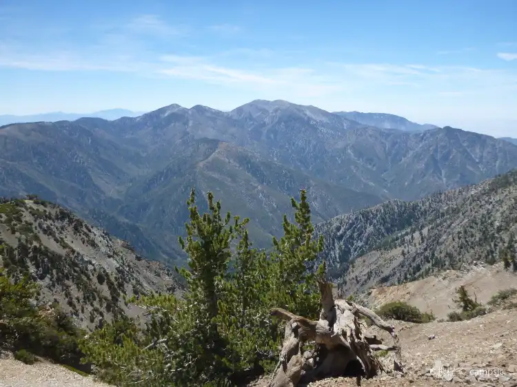 Hotels in Wrightwood