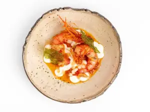 佛羅倫斯的 20 大奢華餐廳