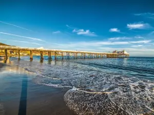 Top 50 Must-Visit Restaurants in Los Angeles