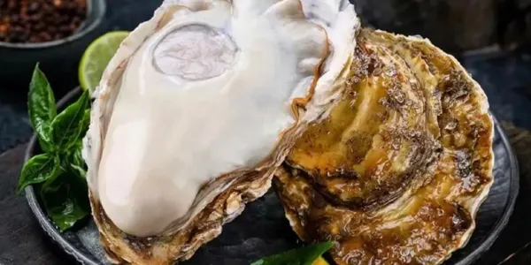 Top 20 Must-Visit Restaurants in Zhanjiang