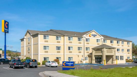 Round Table Reviews Food Drinks In Oregon Medford Trip Com Round Table Reviews Food, Round Table Medford Oregon
