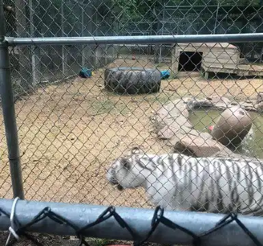 아딸라 데이즈 인 숙소