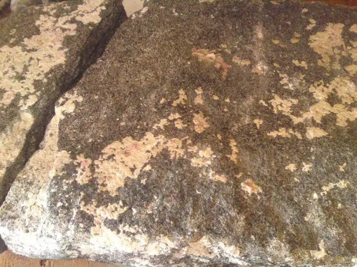 Hotels in Bailey Town